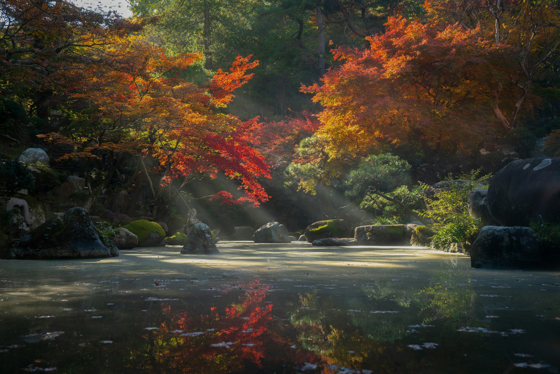 Nature